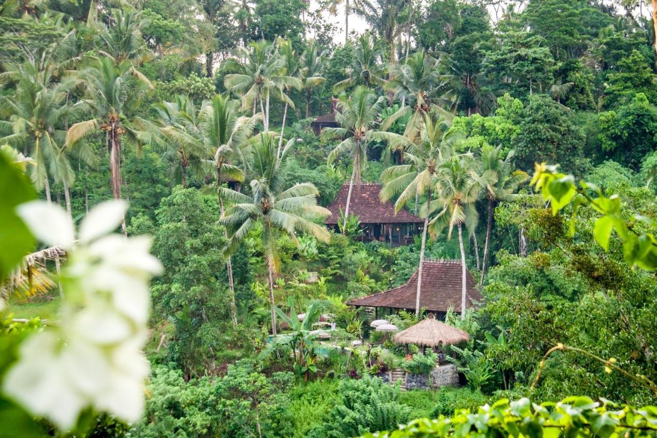 Villa Mahadevi Jungle Retreat Joglo 1 Ubud  Bagian luar foto